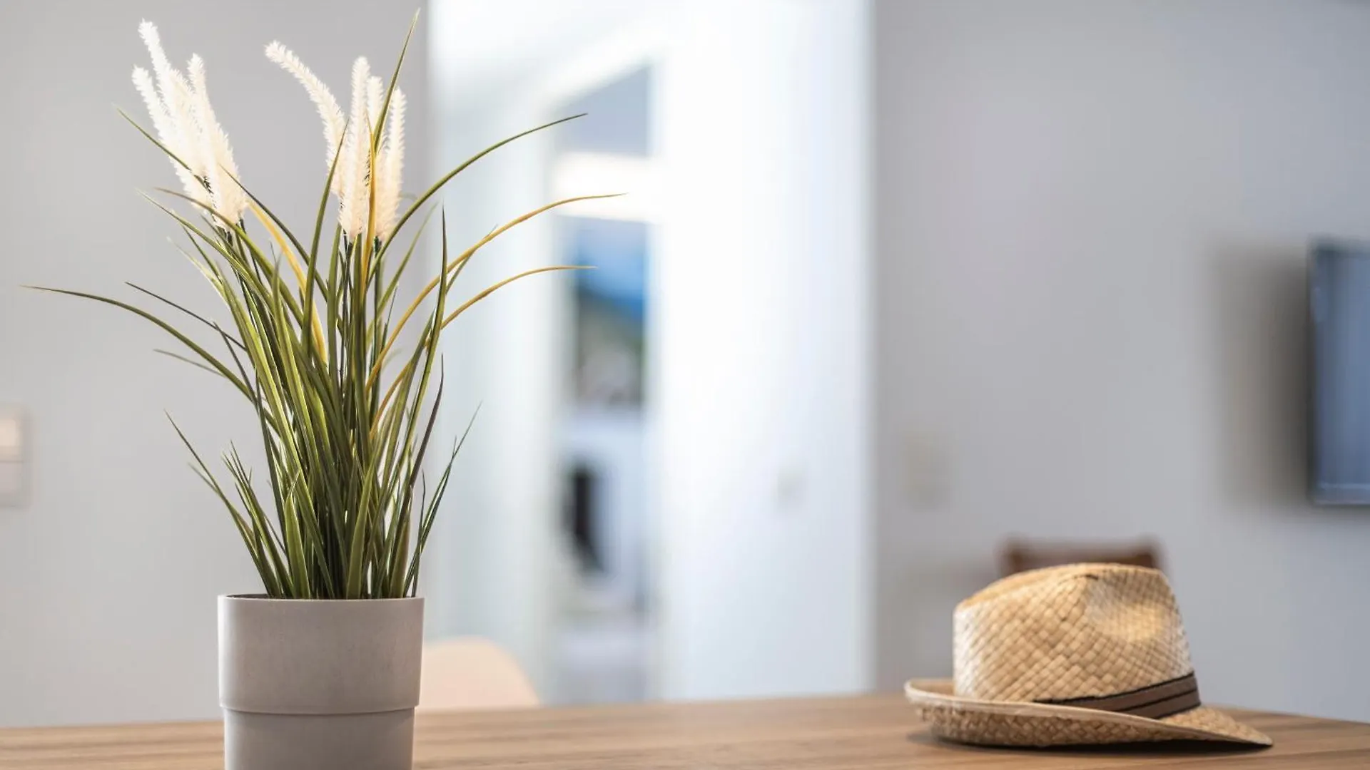 Apartamento Albercutx Pollentia 3 Pollensa España